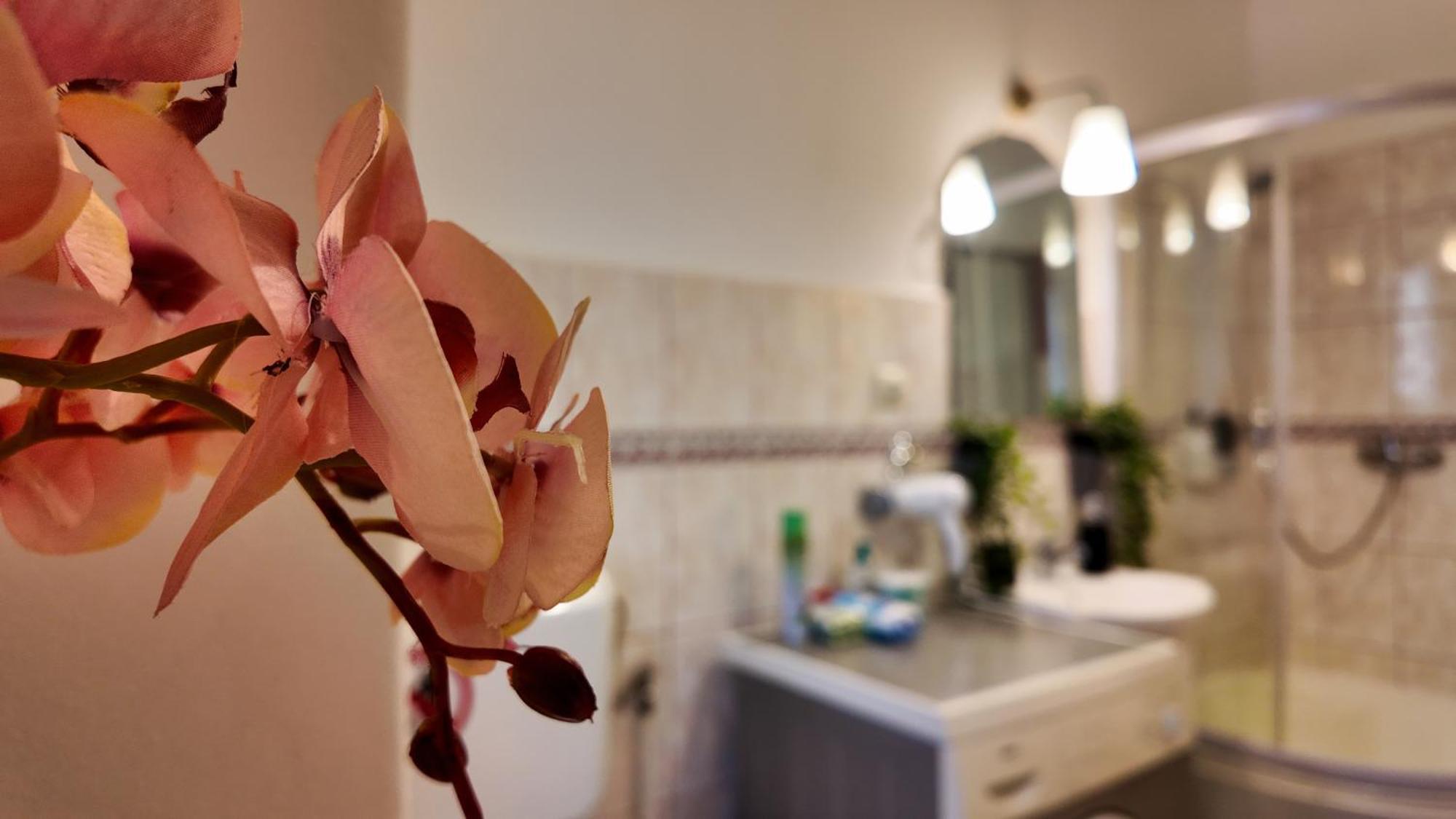 Intimo Oldtown Romantic Apartment Braşov Eksteriør bilde